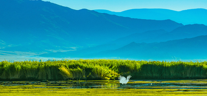 東莞市北亞鑫宇實業有限公司